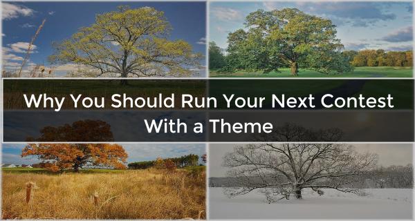 Why You Should Run Your Next Contest with a Theme