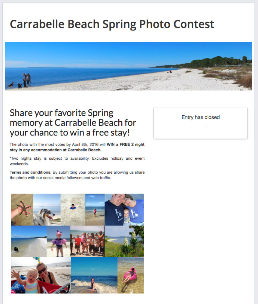 spring contests